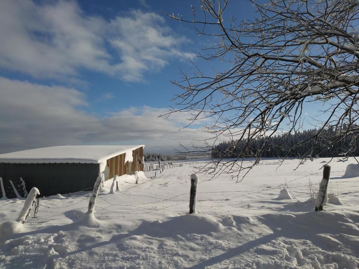 Petites-Tailles - Chambre D'Hotes Vielsalm Exteriér fotografie